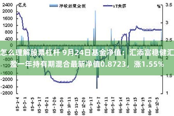 怎么理解股票杠杆 9月24日基金净值：汇添富稳健汇盈一年持有期混合最新净值0.8723，涨1.55%
