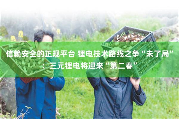 信赖安全的正规平台 锂电技术路线之争“未了局”：三元锂电将迎来“第二春”