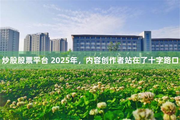 炒股股票平台 2025年，内容创作者站在了十字路口