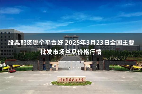 股票配资哪个平台好 2025年3月23日全国主要批发市场丝瓜价格行情