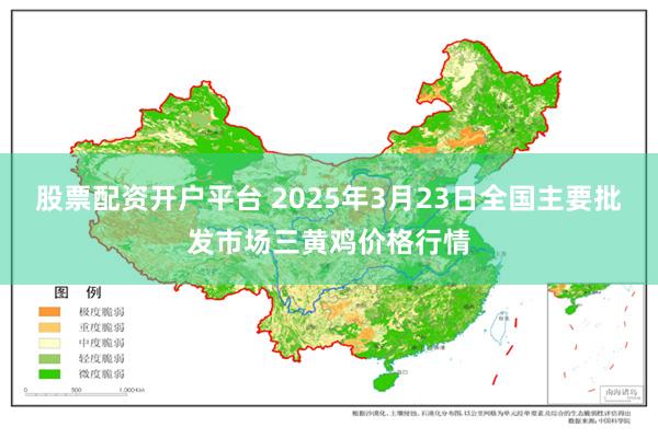 股票配资开户平台 2025年3月23日全国主要批发市场三黄鸡价格行情