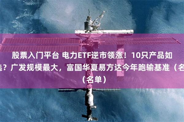 股票入门平台 电力ETF逆市领涨！10只产品如何选？广发规模最大，富国华夏易方达今年跑输基准（名单）