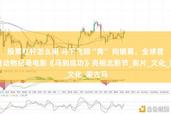 股票杠杆怎么用 马下飞蹄“奔” 向银幕，全球首部生肖动物纪录电影《马到成功》亮相北影节_影片_文化_蒙古马
