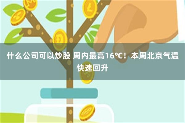什么公司可以炒股 周内最高16℃！本周北京气温快速回升