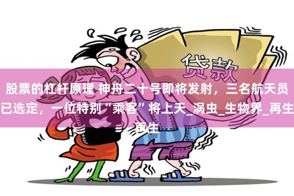 股票的杠杆原理 神舟二十号即将发射，三名航天员已选定，一位特别“乘客”将上天_涡虫_生物界_再生