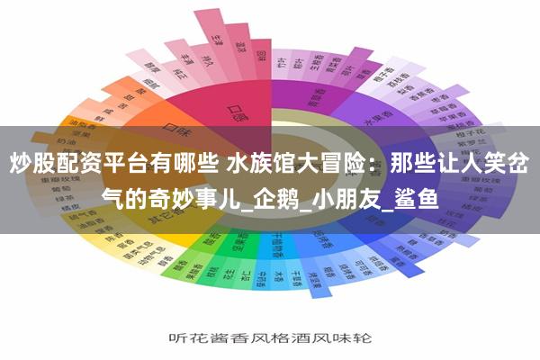 炒股配资平台有哪些 水族馆大冒险：那些让人笑岔气的奇妙事儿_企鹅_小朋友_鲨鱼