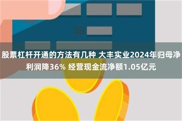 股票杠杆开通的方法有几种 大丰实业2024年归母净利润降36% 经营现金流净额1.05亿元