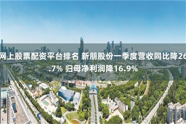 网上股票配资平台排名 新朋股份一季度营收同比降26.7% 归母净利润降16.9%