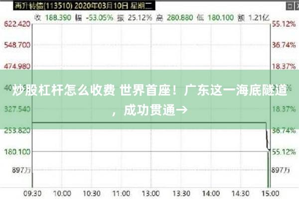 炒股杠杆怎么收费 世界首座！广东这一海底隧道，成功贯通→
