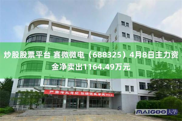 炒股股票平台 赛微微电（688325）4月8日主力资金净卖出1164.49万元
