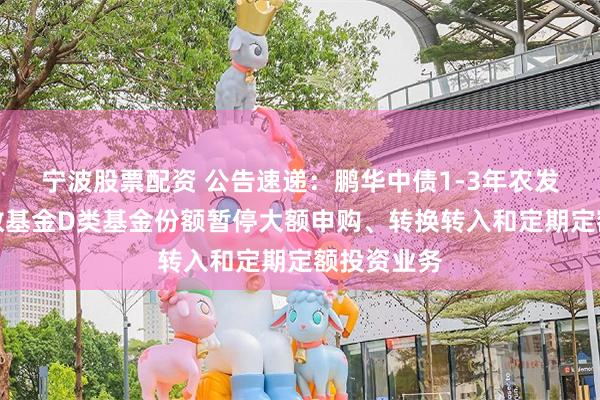 宁波股票配资 公告速递：鹏华中债1-3年农发行债券指数基金D类基金份额暂停大额申购、转换转入和定期定额投资业务