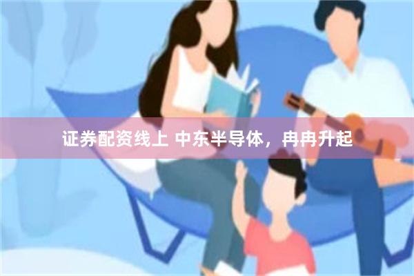 证券配资线上 中东半导体，冉冉升起