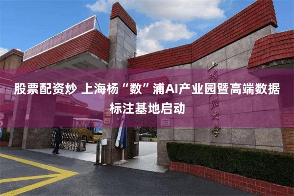 股票配资炒 上海杨“数”浦AI产业园暨高端数据标注基地启动