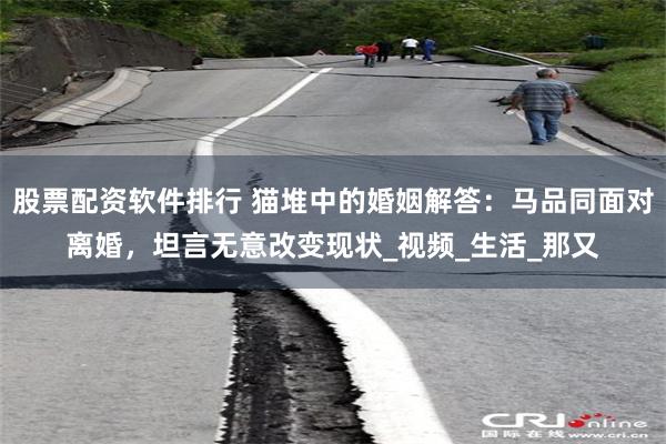 股票配资软件排行 猫堆中的婚姻解答：马品同面对离婚，坦言无意改变现状_视频_生活_那又