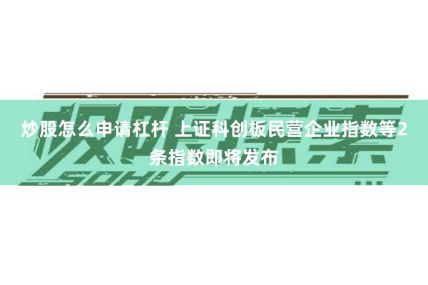 炒股怎么申请杠杆 上证科创板民营企业指数等2条指数即将发布