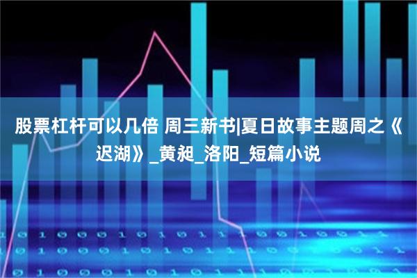 股票杠杆可以几倍 周三新书|夏日故事主题周之《迟湖》_黄昶_洛阳_短篇小说