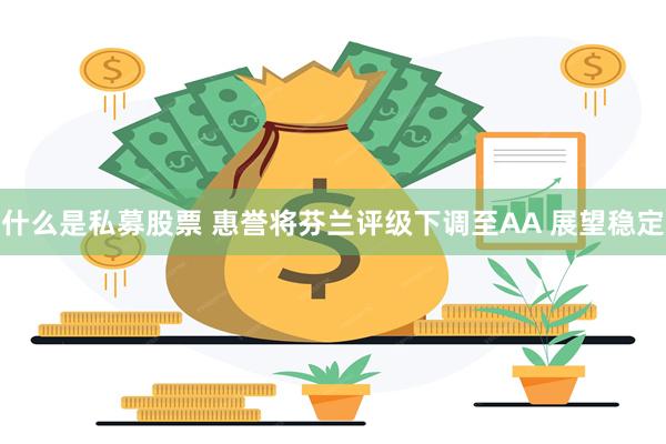 什么是私募股票 惠誉将芬兰评级下调至AA 展望稳定