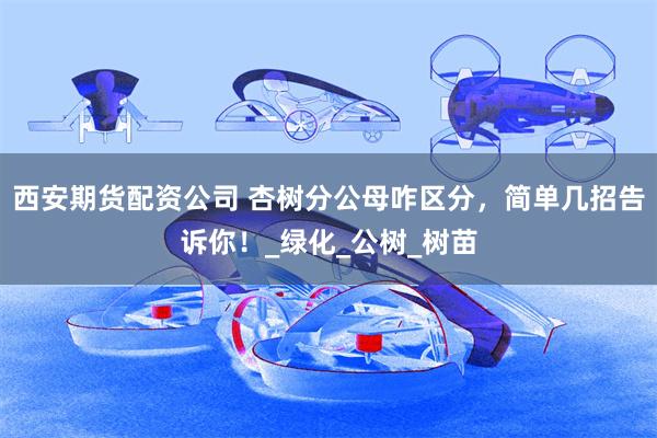 西安期货配资公司 杏树分公母咋区分，简单几招告诉你！_绿化_公树_树苗