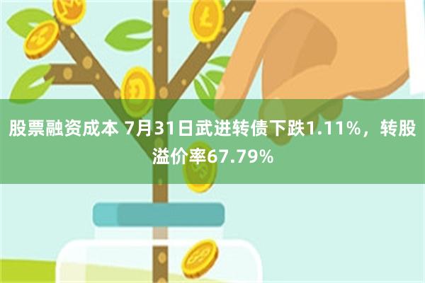 股票融资成本 7月31日武进转债下跌1.11%，转股溢价率67.79%