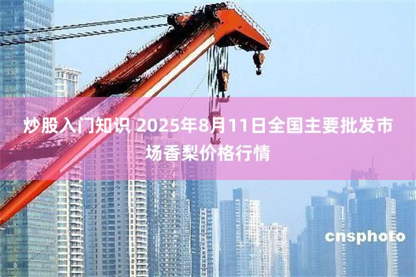 炒股入门知识 2025年8月11日全国主要批发市场香梨价格行情