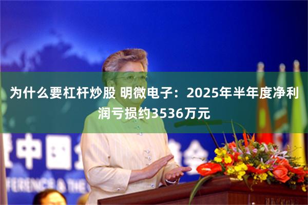 为什么要杠杆炒股 明微电子：2025年半年度净利润亏损约3536万元