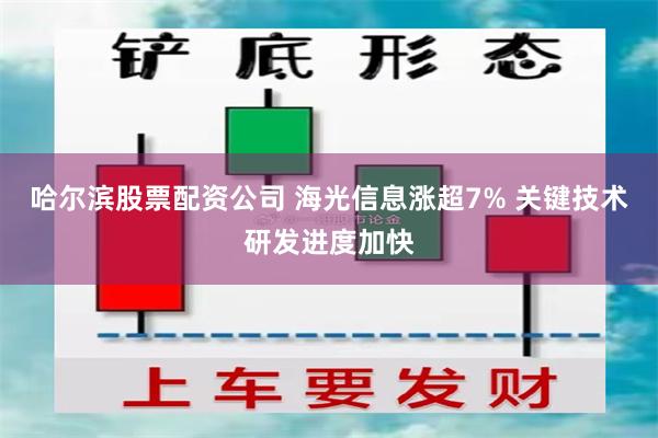 哈尔滨股票配资公司 海光信息涨超7% 关键技术研发进度加快