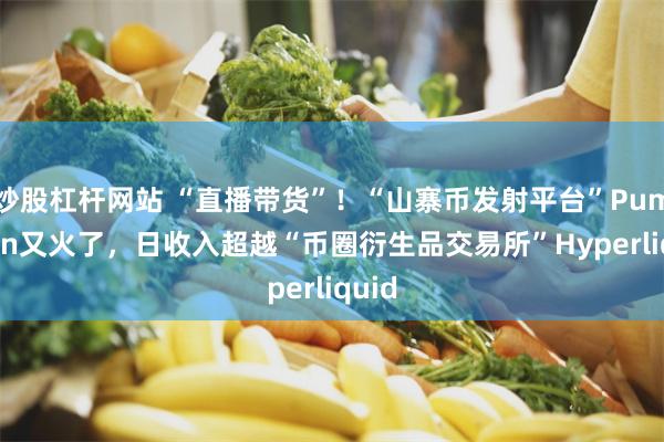 炒股杠杆网站 “直播带货”！“山寨币发射平台”Pump.fun又火了，日收入超越“币圈衍生品交易所”Hyperliquid