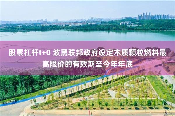 股票杠杆t+0 波黑联邦政府设定木质颗粒燃料最高限价的有效期至今年年底